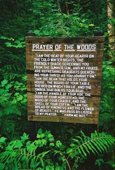 prayer-of-the-woods