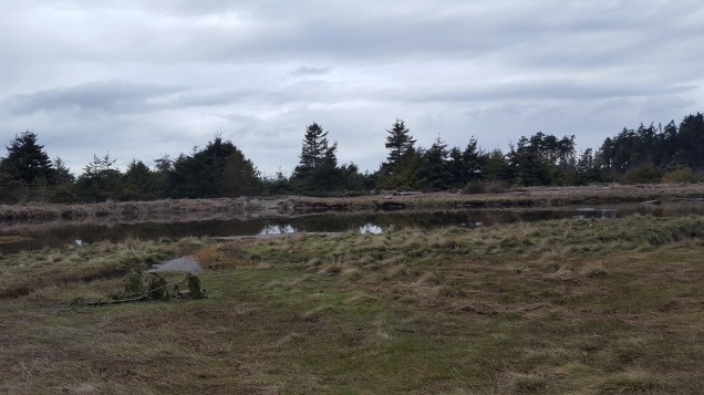 2017-03-15 15.55.02-1