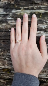 2017-03-15 15.55.41-1